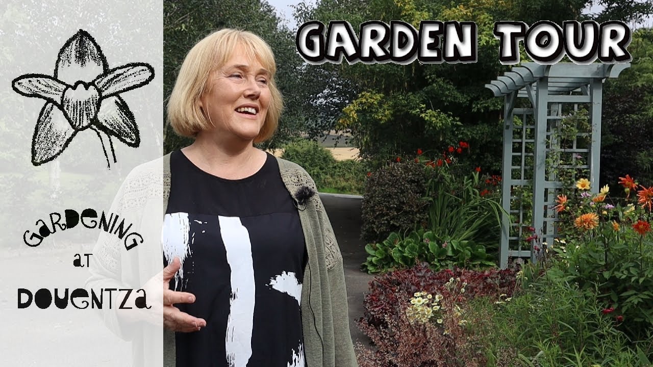 August Garden Tour || Real Time Walk Thru my Garden || Plants for Shade