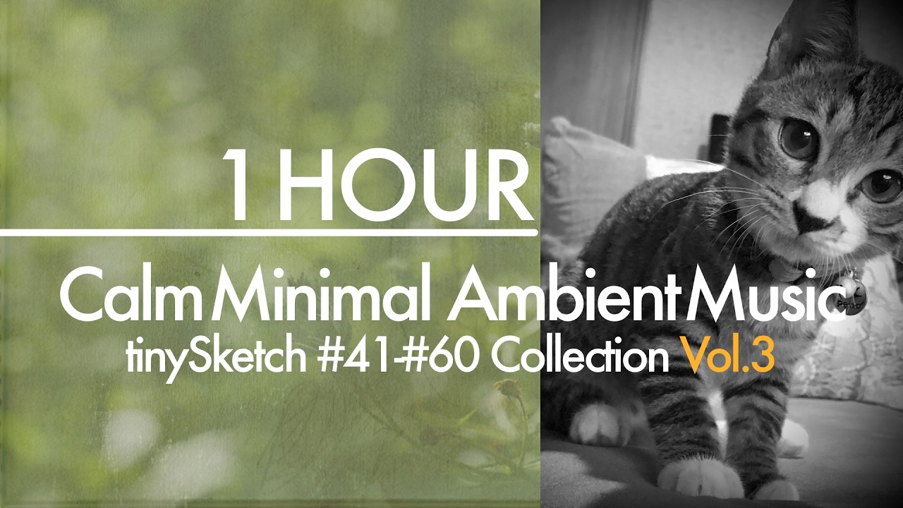 Warm Sound Textures: 1 Hour Calm Minimal Ambient Collection | tinySketch #41–#60 (Kita Kouhei)