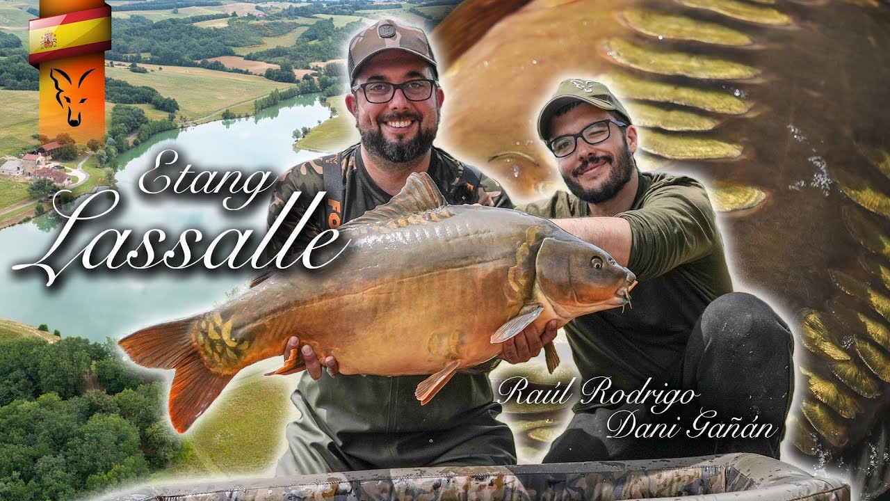 🤩 ETANG LASSALLE 🤩 + 🎁SORTEO🎁  ***FOX FISHING TV***