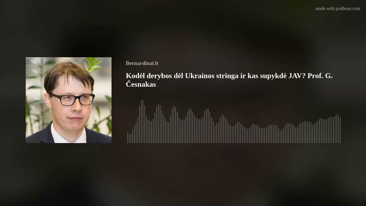 Kodėl derybos dėl Ukrainos stringa ir kas supykdė JAV? Komentuoja prof. Giedrius Česnakas