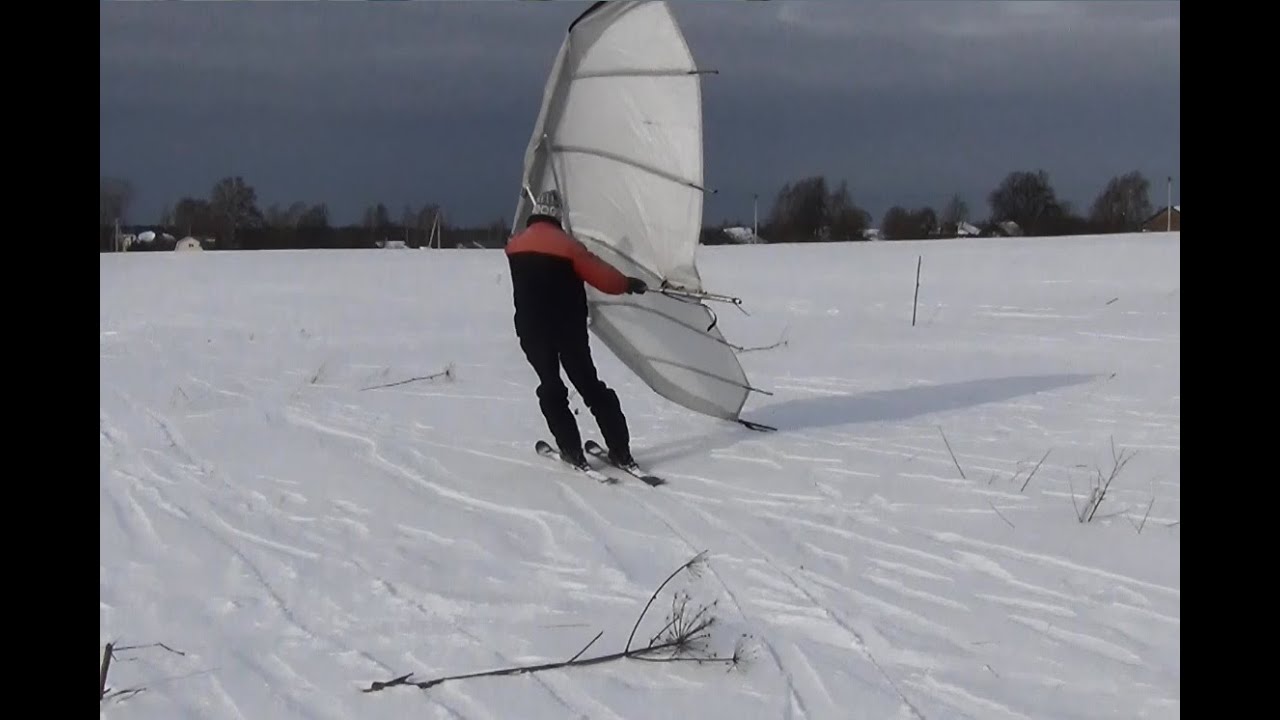 Snow Wing
