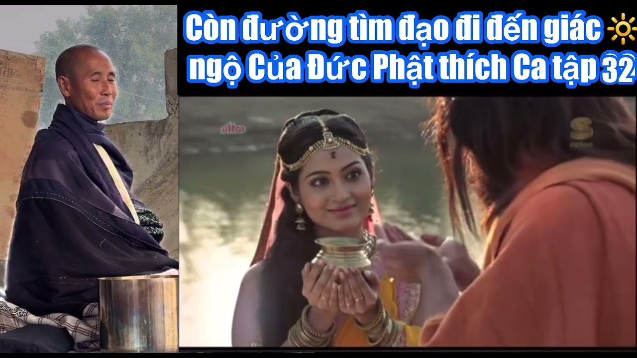 Tóm tắt phim con đường tìm đạo đạt đến đến Chánh đẳng Chánh giác của Đức Phật Thích Ca tập 32