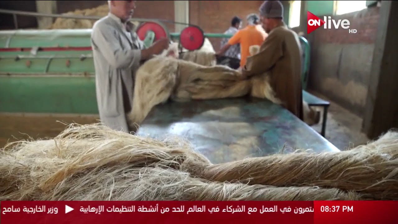 زاهى و الفراعنة - القدماء المصريين كانوا يهتمون بعمل ملابسهم من خامة الكتان فقط