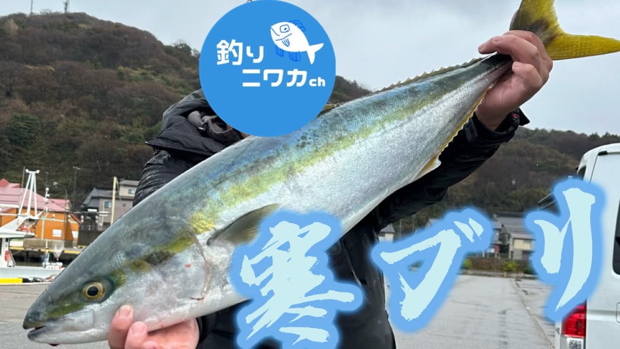 【上越 名立港】極寒の日本海で寒ブリジギング！【海遊丸】