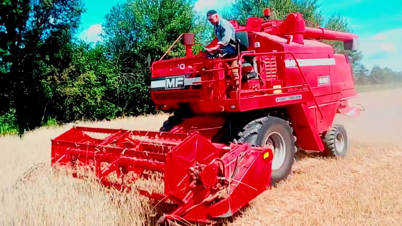 Żniwa 2017 Massey Ferguson 560  Ursus C-330 Koszenie żyta