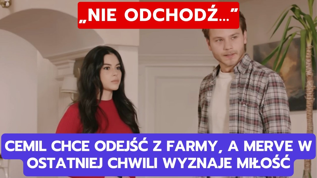 WICHROWE WZG&Oacute;RZE, ODCINEK 371-372: CEMIL CHCE ODEJŚĆ Z FARMY, A MERVE W OSTATNIEJ CHWILI WYZNAJE...
