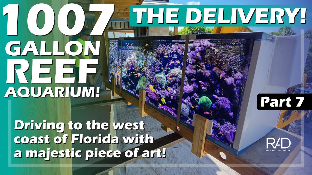 Lifting a 2,000 LB/ 1,007 Gallon Aquarium to a 2nd Floor Balcony
