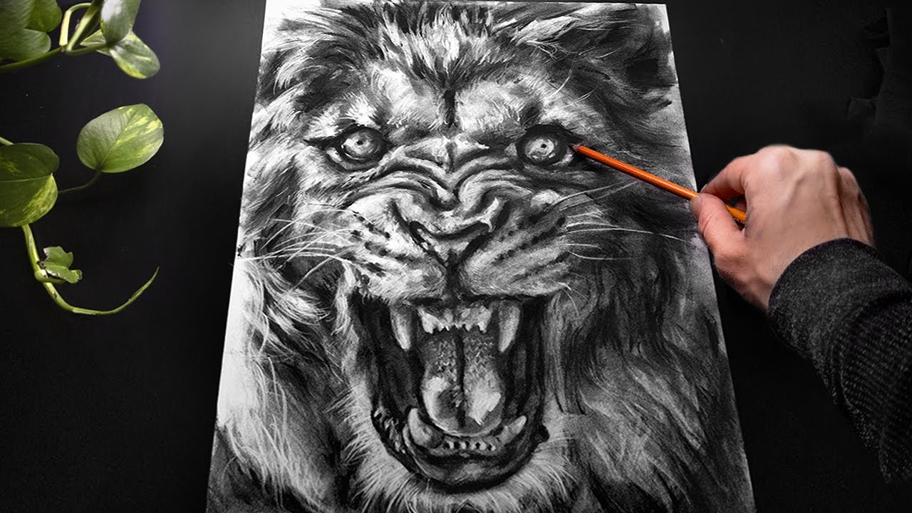 ASMR Drawing a Lion with Charcoal - No Talking