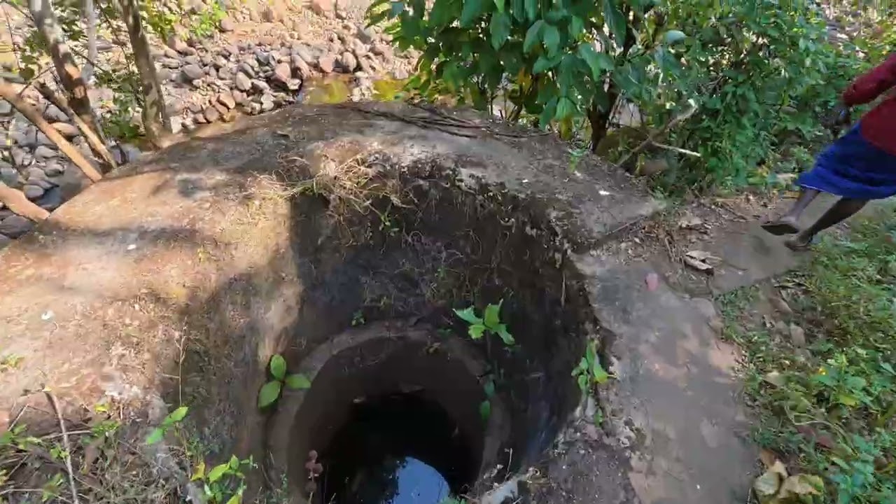 പാലക്കാട്  ഉൾ വനത്തിൽ ഒരു ഗ്രാമം.