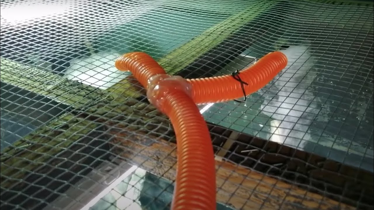 Instalando un humidificador en el terrario de las iguanas