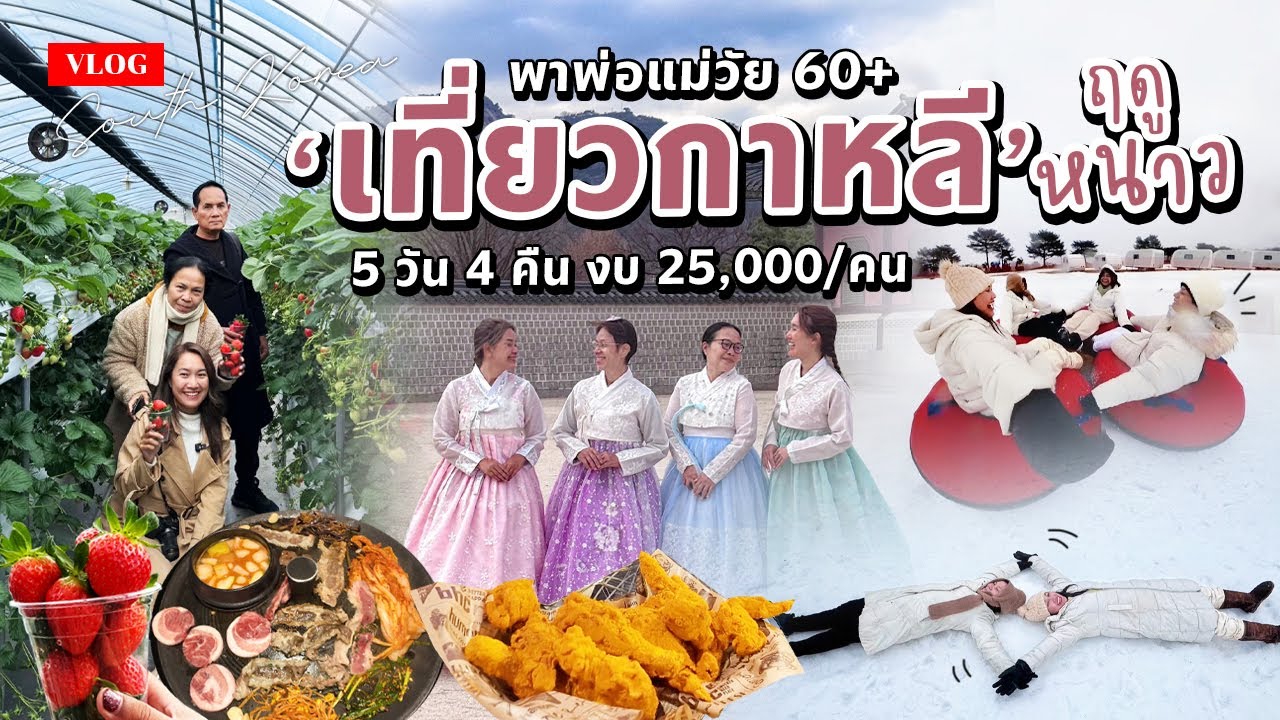 Vlog พาพ่อแม่เที่ยวเกาหลีด้วยตัวเอง หน้าหนาว 5 วัน 4 คืน งบ 25,000/คน กิน เที่ยว จัดเต็ม!
