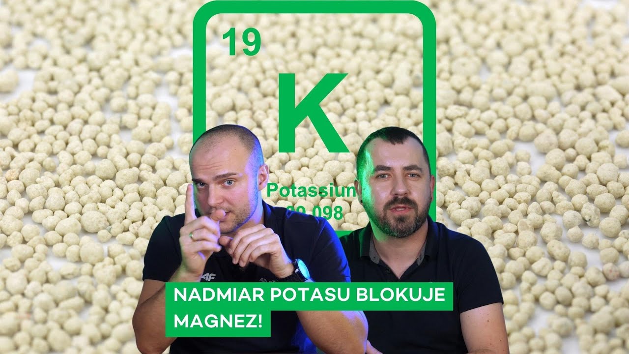 POTAS - LEK NA SUSZĘ? - #248 nawozy nonstop