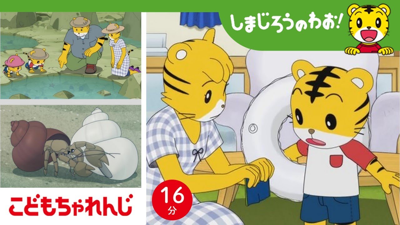【16分アニメ】大きくなったら、水着も貝も おひっこし！ヤドカリさんと しまじろうの成長  | 海・自然・成長 | しまじろうのわお！アニメ | しまじろうチャンネル公式