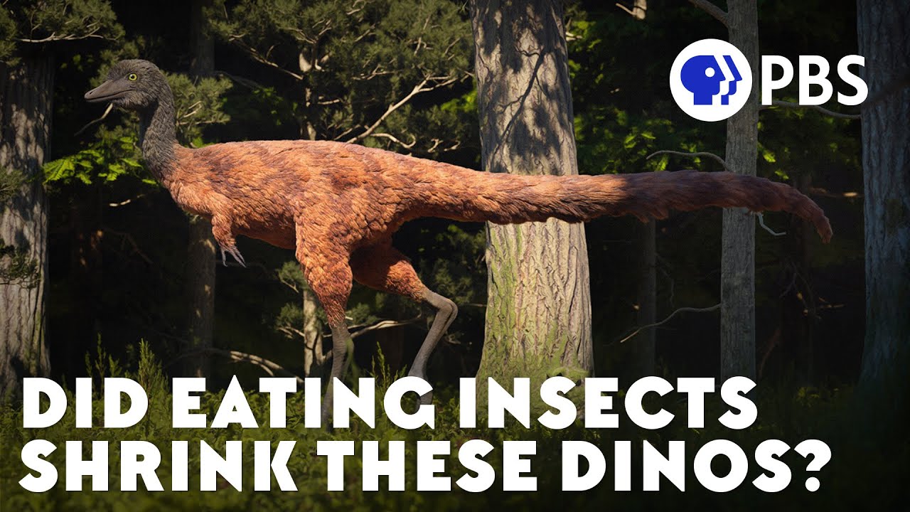 Did Eating Insects Shrink These Dinos?