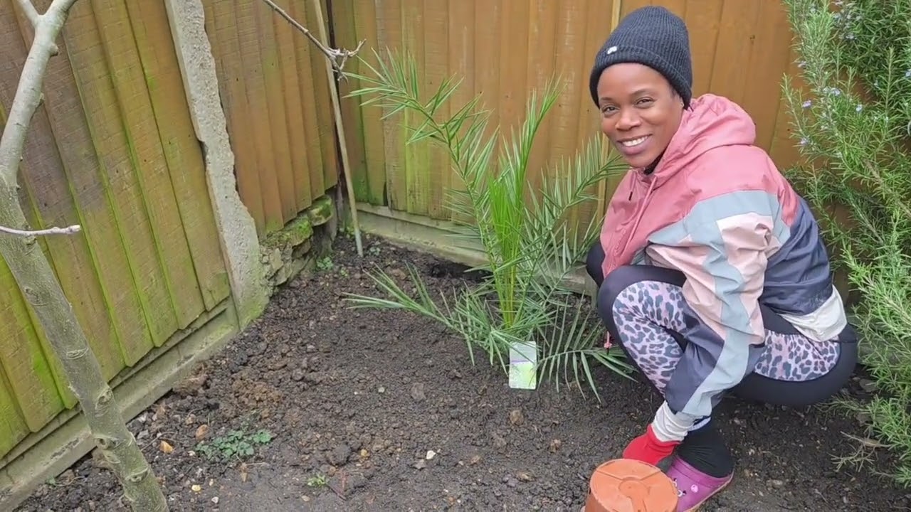 Bringing Tropical Vibes Home 🌴 | Planting a Palm Tree in Our Garden #GardenGlowUp