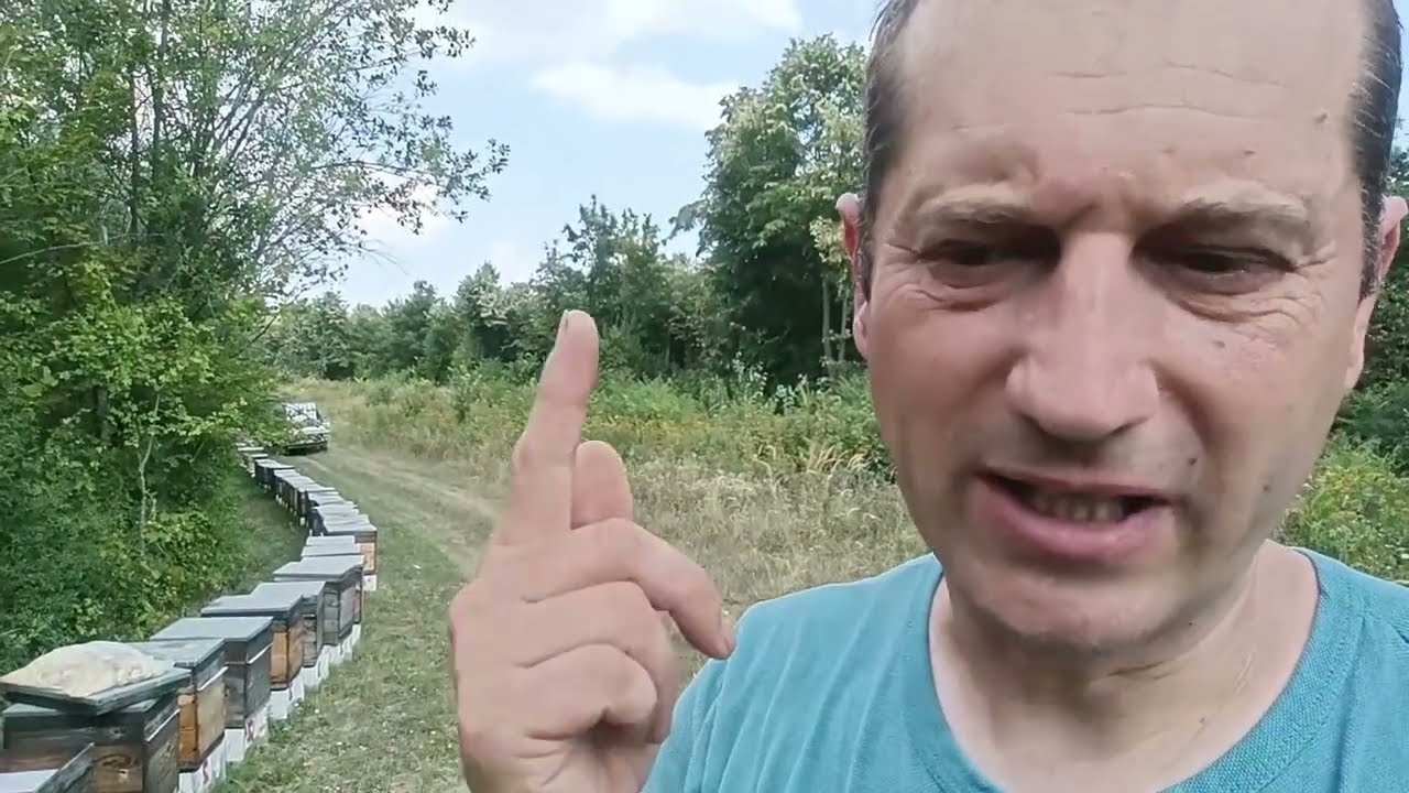 Előrehaladási klub 255 Augusztus végi feladatok