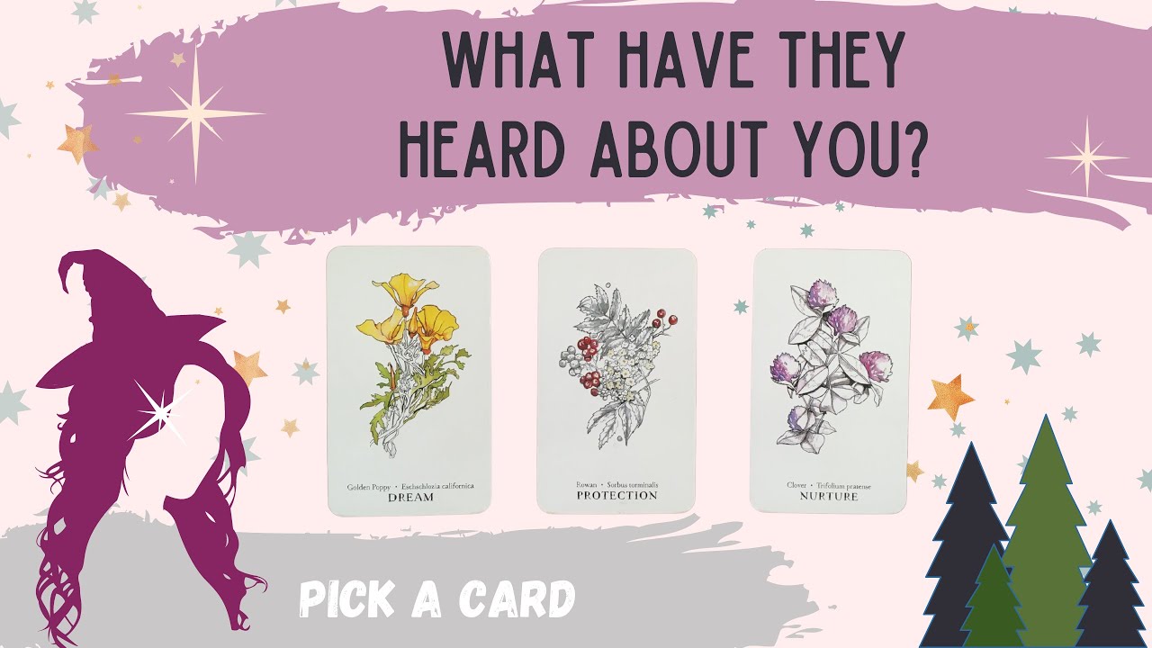 PICK A CARD: WHAT HAVE THEY HEARD ABOUT YOU???