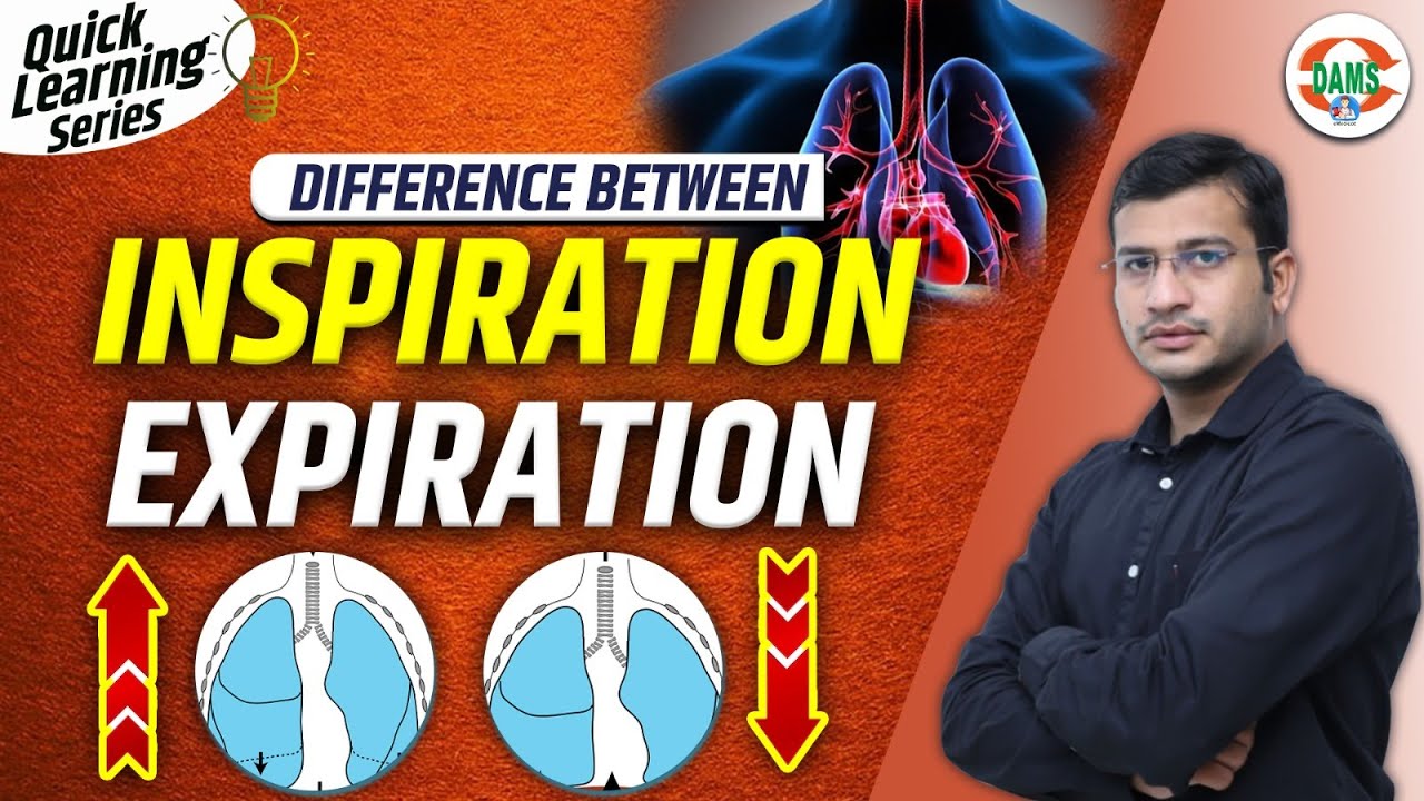Difference Between Inspiration and Expiration | Quick Learning Series by Siddharth Sir| DAMS Nursing
