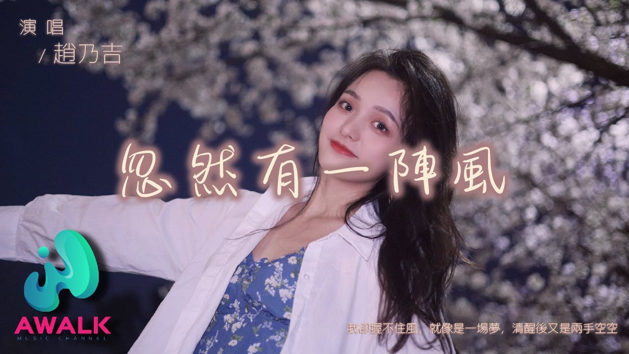 赵乃吉 - 忽然有一阵风『我却握不住风，就像是一场梦，清醒后又是两手空空。』【动态歌词 | Pinyin Lyrics】【三月新歌】【AWALK MUSIC】