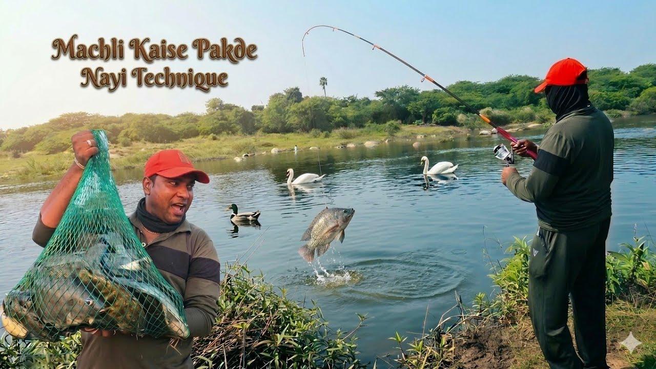 How to Catch Big Tilapia Fish | Fishing Videos | Tilapia Fishing Techniques | Fishing Vlogger