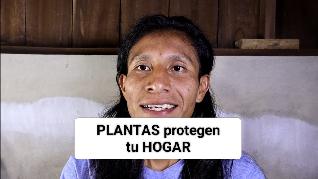 Las PLANTAS protectoras