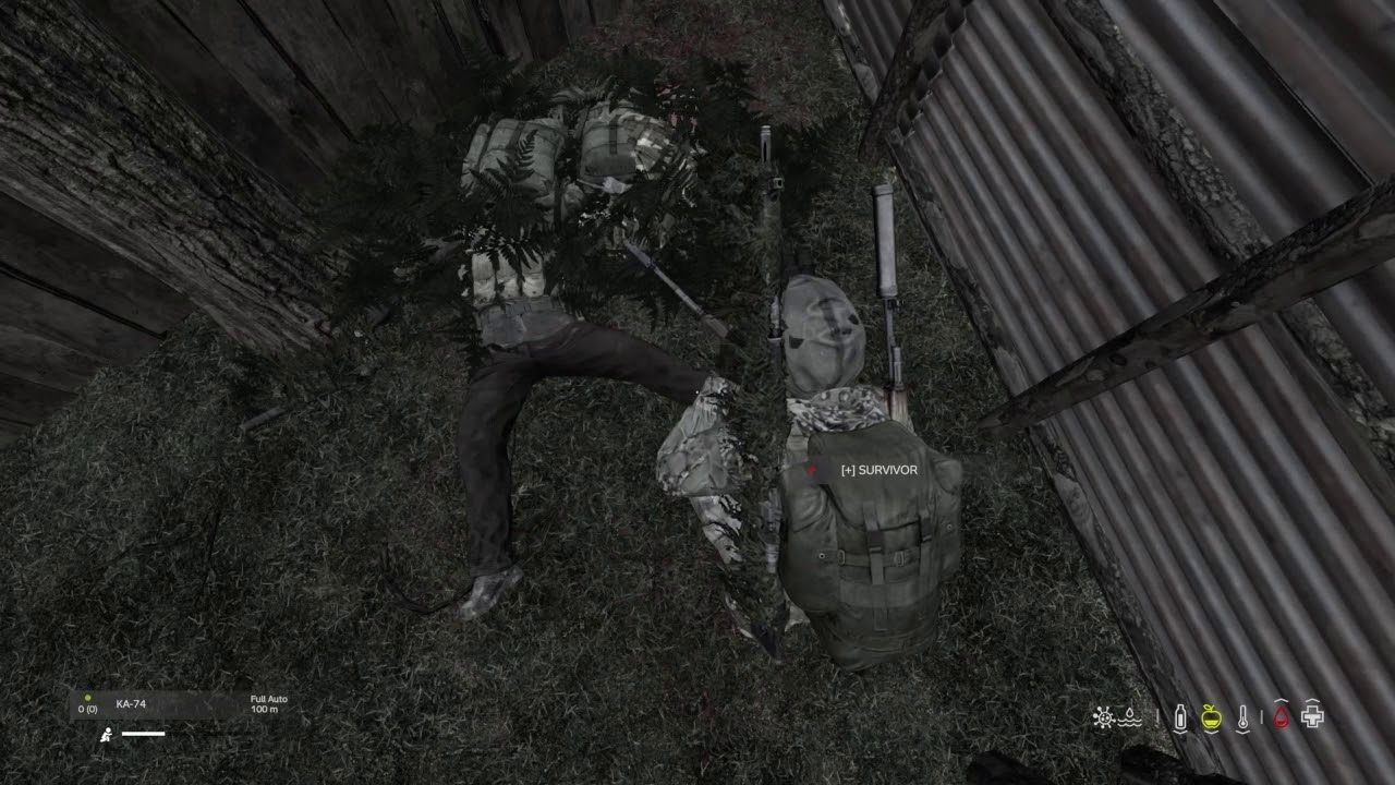 Dayz Ps4/Ps5 Official PvP 1.10