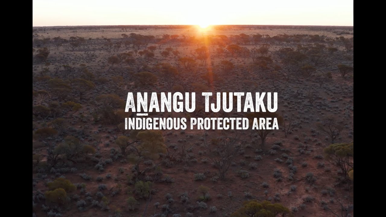 Anangu Tjutaku Indigenous Protected Area