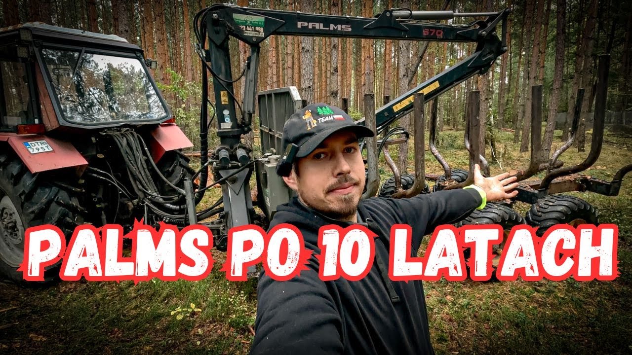 SZCZERA OPINIA O PRZYCZEPIE PALMS PO 10 LATACH UŻYTKOWANIA || Zwykły dzień w lesie odc. 3 Okiem ZULa