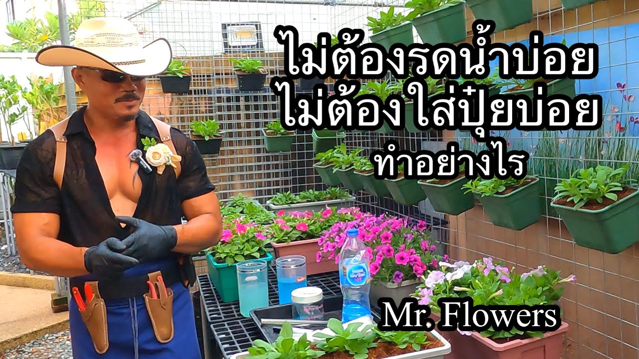 เทคนิคการปลูก ต้นไม้ดอกไม้ ในการถาง แบบไม่ค่อยมีเวลา รดน้ำใส่ปุ๋ย