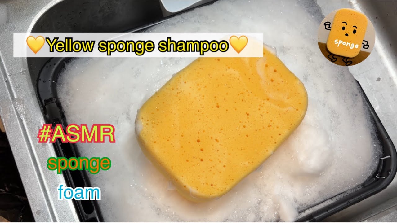 《ASMR》💛黄色のスポンジをもこもこ泡にする💛🫧Yellow sponge shampoo💛#sponge#spongeshampoo#🚗#asmr #foam #sponge#スポンジ#泡