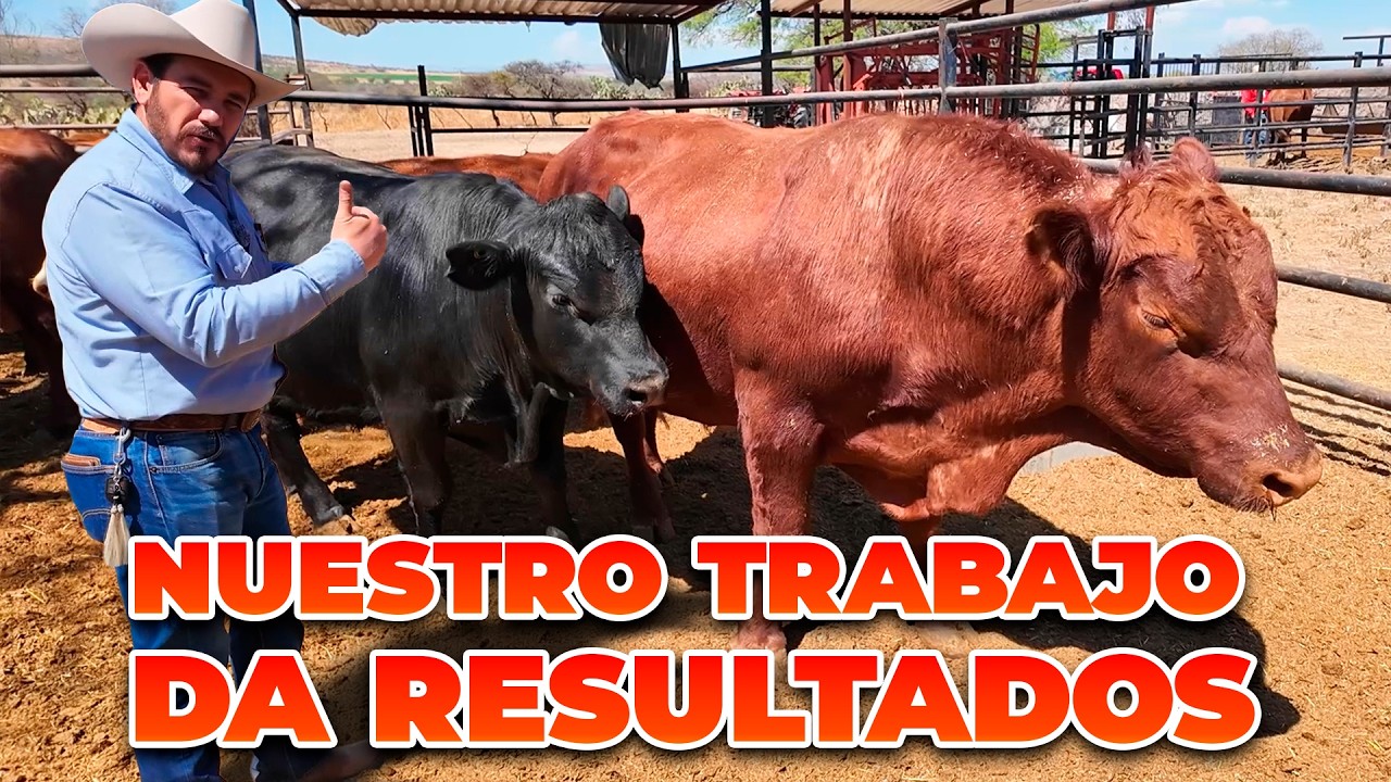 LA GENTE ME CRITICÓ, NO CREÍAN EN MI TRABAJO | Rancho Cinco Talentos