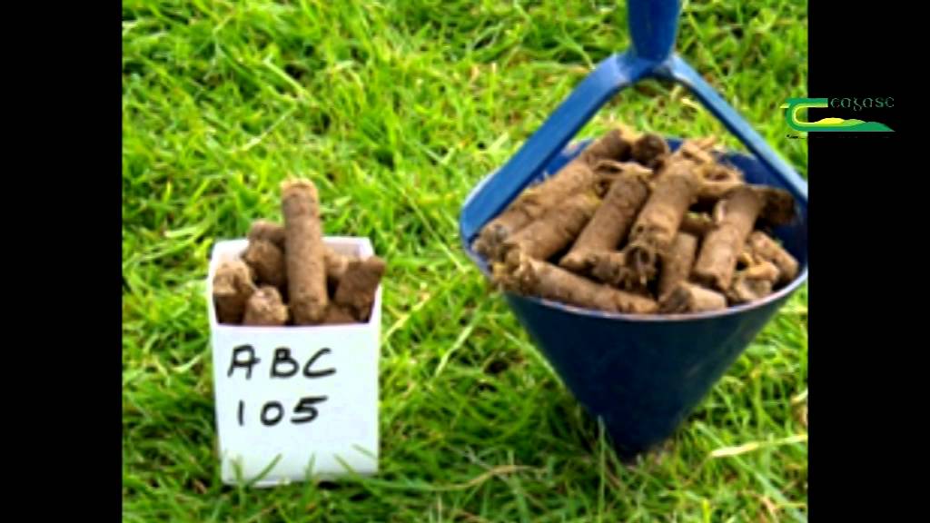 Soil Sampling