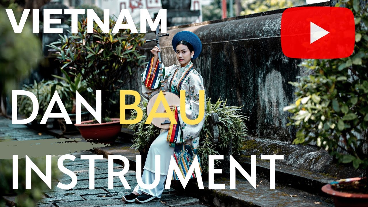 Vietnam Traditional Music Instruments: Dan Bau Instrument Presentation