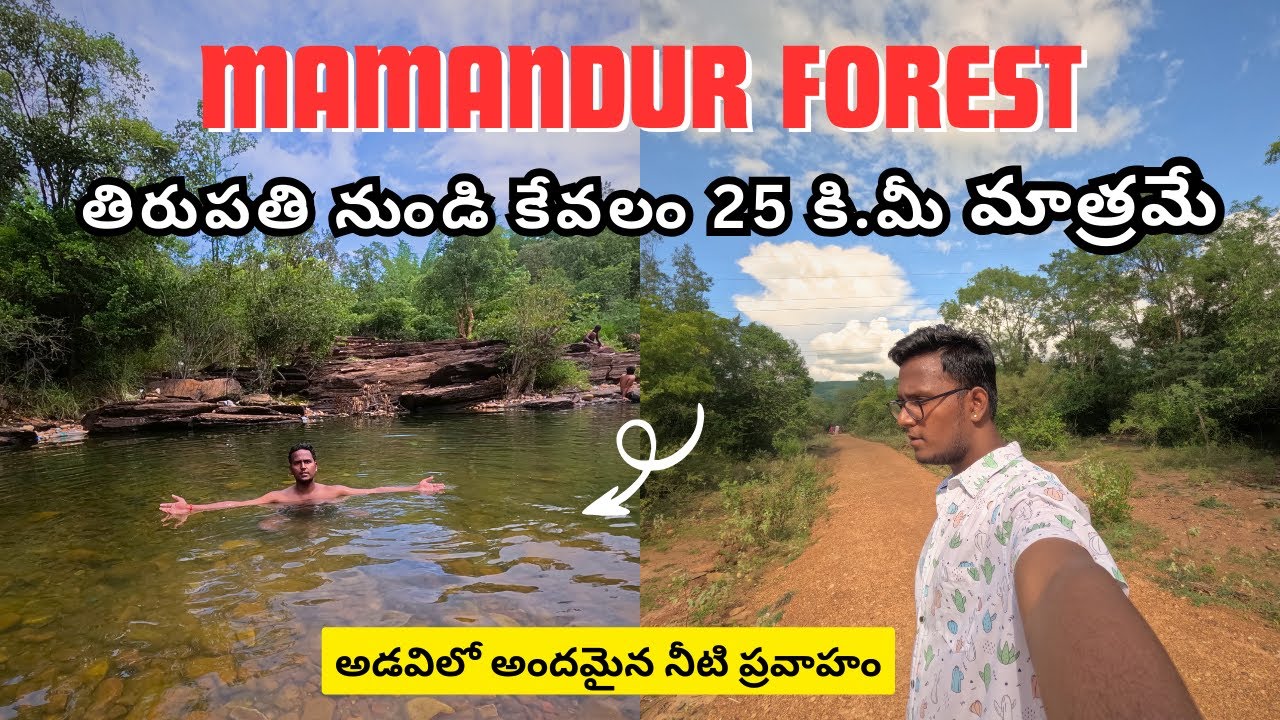 Mamandur forest near tirupati | Forest trekking | Vloggingwithsiva