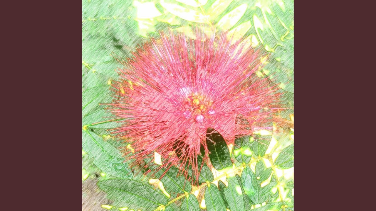 The Ladybug's Moment