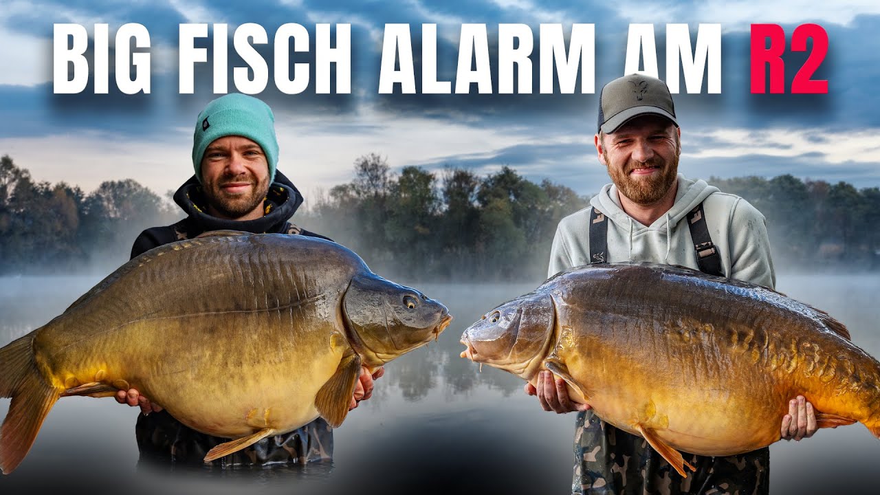 2x Ü25 Kilo in nur 10 Minuten 😱 | Karpfenangeln am R2 in Österreich 🇦🇹