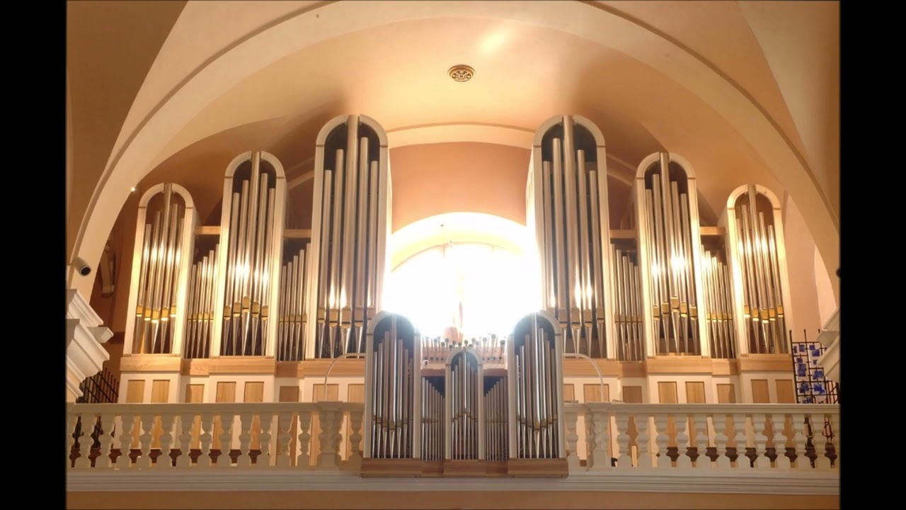 Traditional Italian Music- Tarantella Napoletana (Organ)