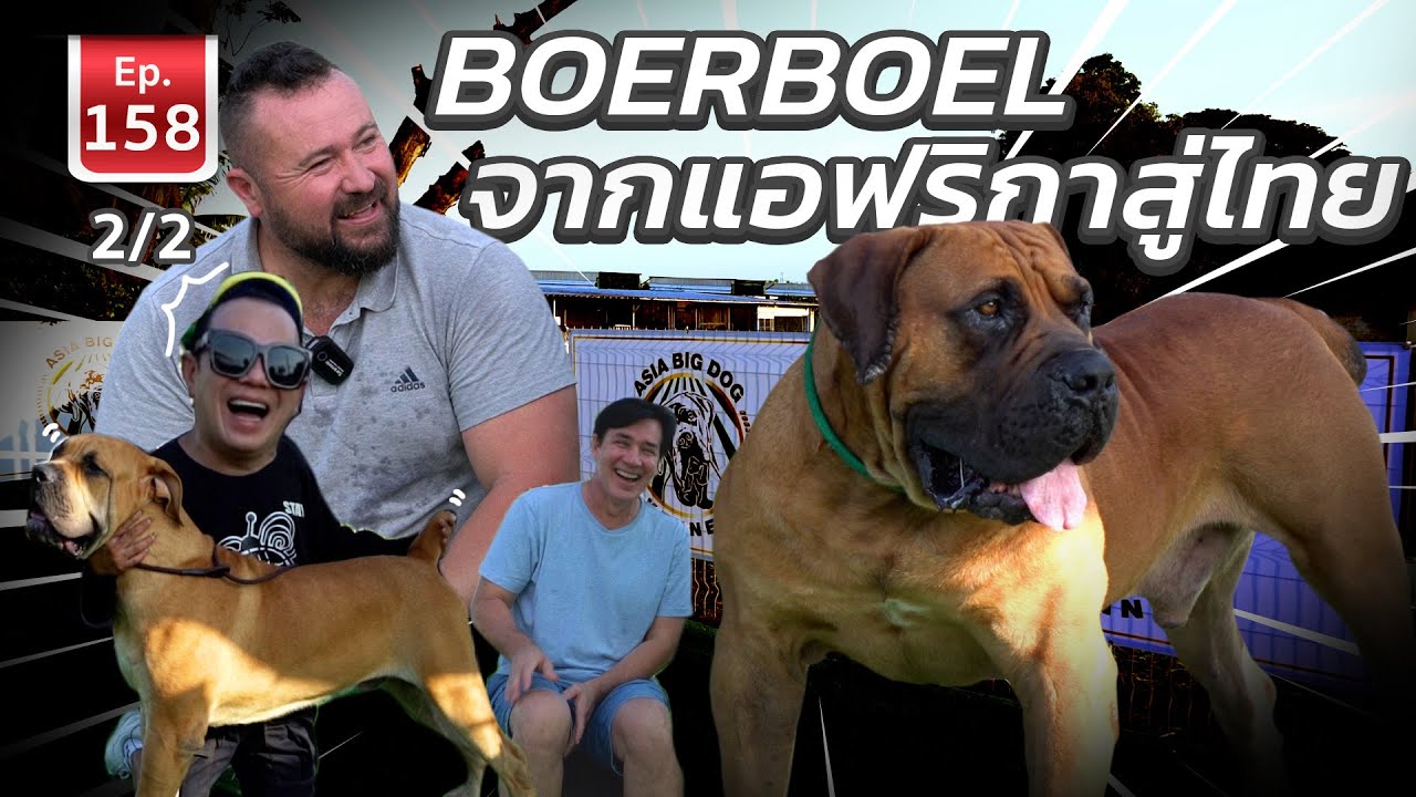 БУРБУЛЬ, водяная лилия от Африки до Таиланда - Animal Lovers EP.158 1/2
