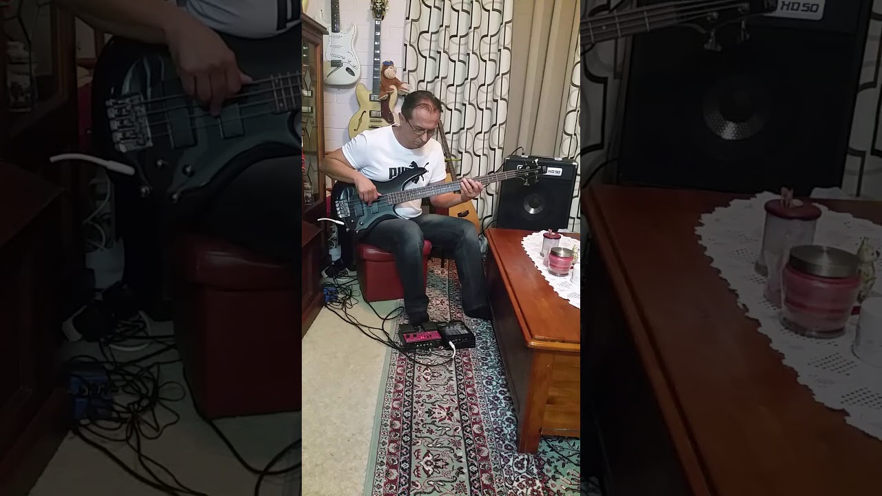 HARTKE HD 50 BASS AMP played  by HAKI KARAJCIC