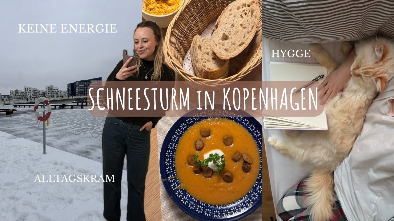 Das Leben fühlt sich schwer an & Schneesturm in Kopenhagen I Vlog 92