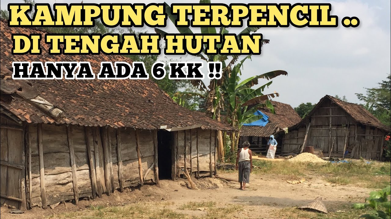 SEUMUR HIDUP ‼️BERTAHAN HIDUP DI KAMPUNG TENGAH HUTAN AKSES SULI...