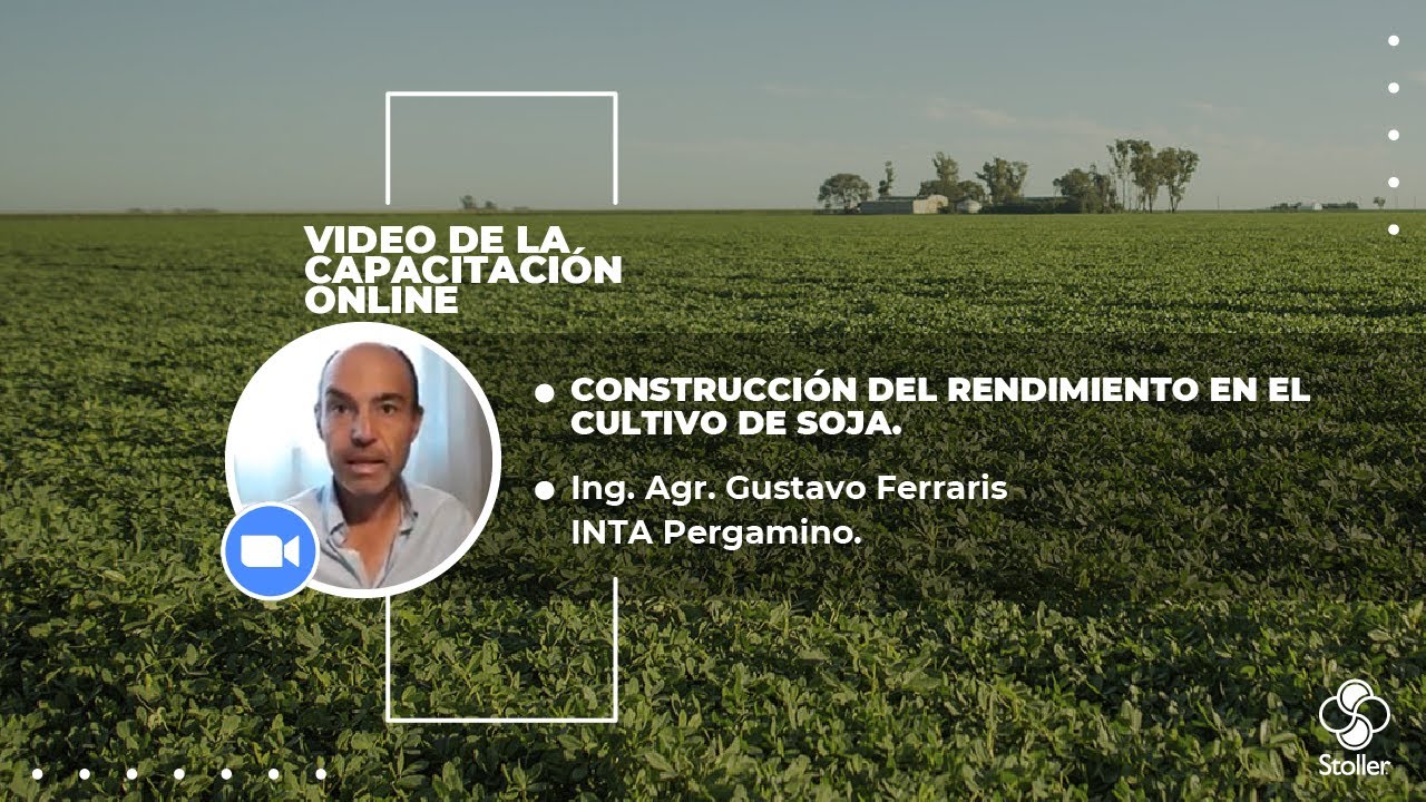 Construcción del rendimiento en el cultivo de Soja.
