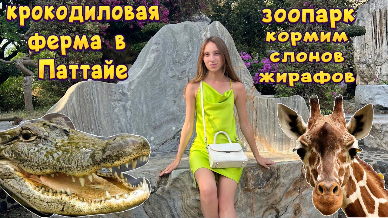 Паттайя парк. Крокодиловая ферма в Паттайе. Парк миллионолетних камней.Шоу крокодилов | Тайланд