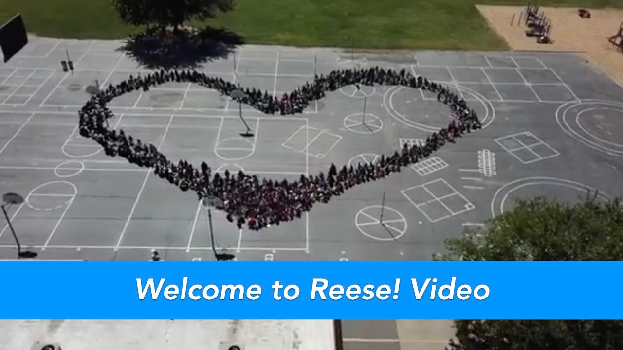 Welcome to Reese!
