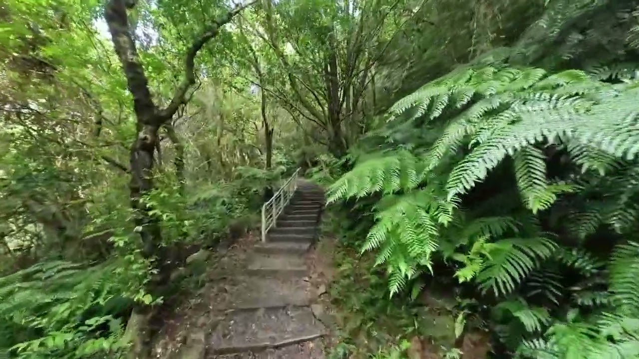 Taipei Walk 翠山步道 20230813 INSTA360 GO 3