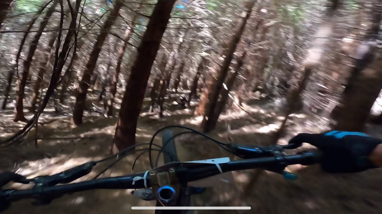 Ride the Dirt Wave Whiskey Runs 5th place race run