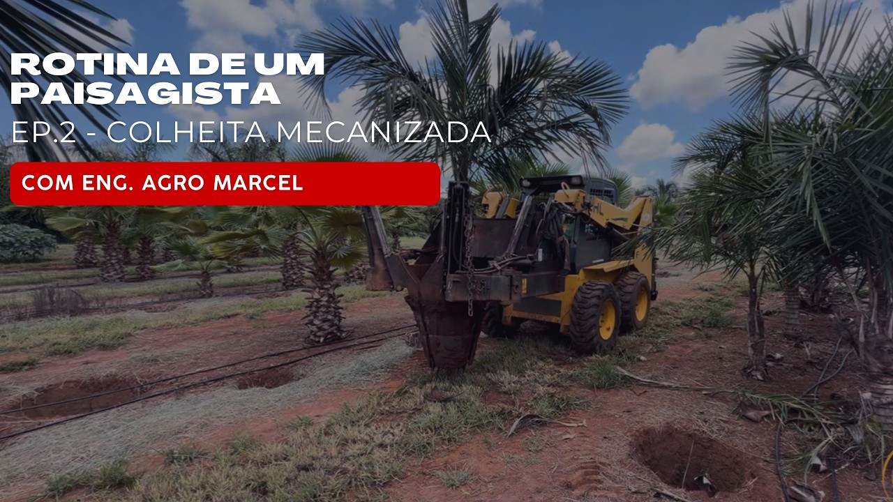 EP.2 - ROTINA DE UM PAISAGISTA
