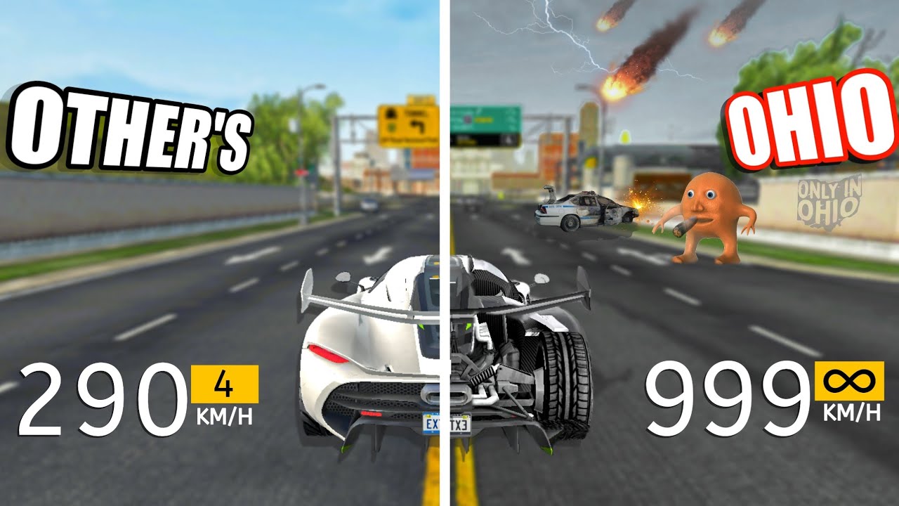 OHIO VS OTHER'S || Extreme Car Driving Simulator! 🤯