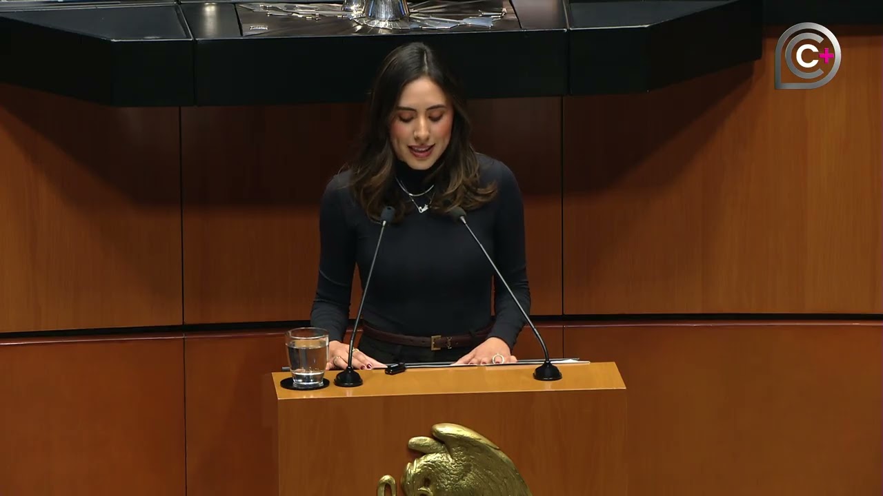 Planteo que el Estado reconozca al sector social de la economía: Sen. Guadiana (GPMorena)