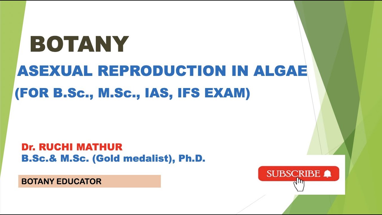 Reproduction in Algae// Asexual Reproduction in Algae// B.Sc. I year// M.Sc. Botany